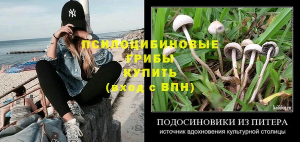 гидропоника Богородицк
