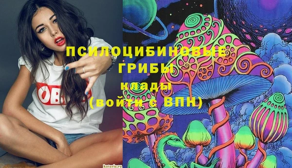 гидропоника Богородицк