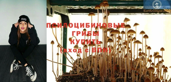 гидропоника Богородицк