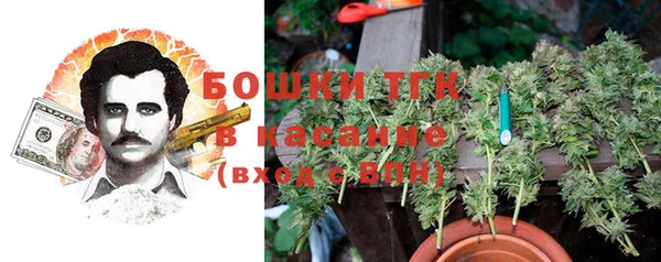 гидропоника Богородицк