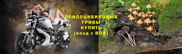MDMA Богданович